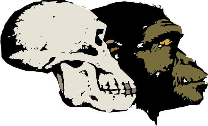hominidos más antiguos