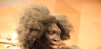 mujer neandertal
